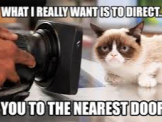 grumpy cat memes 1