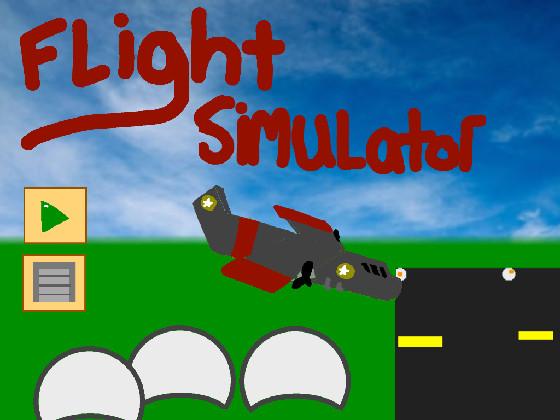 Flight Simulator  1 1