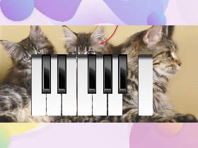 my kitty cat piano