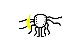 spooder monke