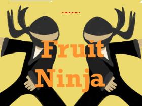 Fruit Ninja 1 1