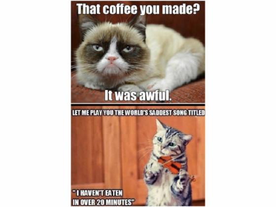 grumpy cat memes 2