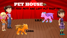 pet house