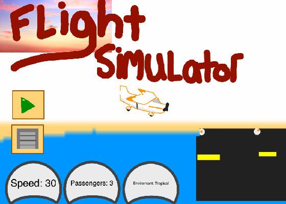 Flight Simulator 1 1