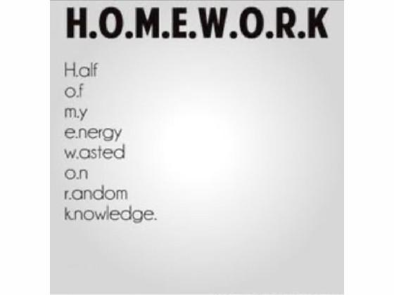 what homework stands for