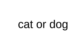 cat or dog!