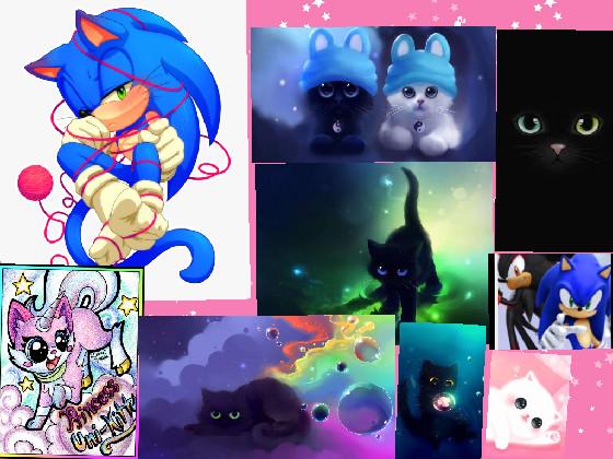 Sonic and cats