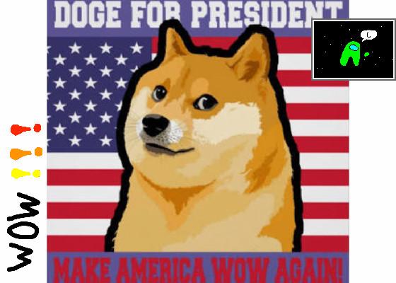 doge for presedent