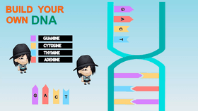 DNA or RNA Strand