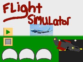 Flight Sim 1 1