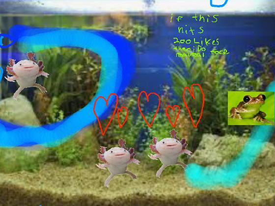 AXOLOTL FUN TIME 1 1