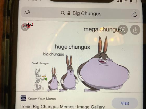  HE IS A BIG CHUNGUS