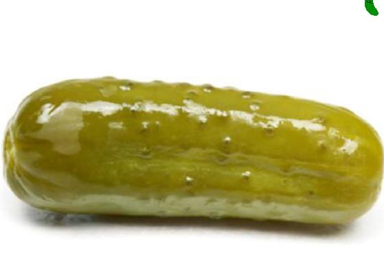 Pickle Spindraw 1