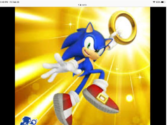 Sonic the hegehog portals 1