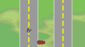 Chicken Crossing