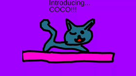 Coco the cat