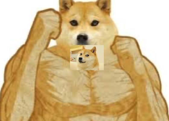 dogecoin spin vs titan doge