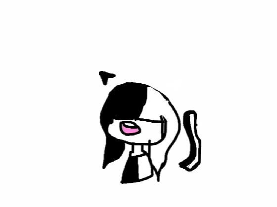 a black and white sia cat