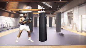 Boxing Simulator