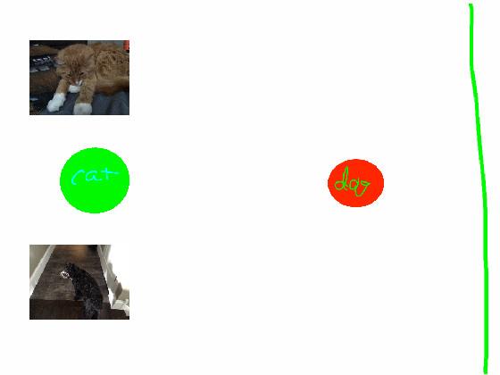 cat vs dog race 2 plr