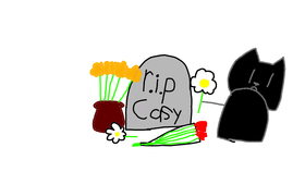 r.i.p casy