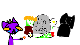 RE:r.i.p casy