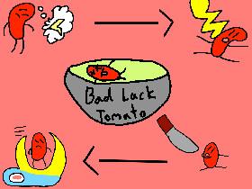 Life Cycle of Tomatoes p4