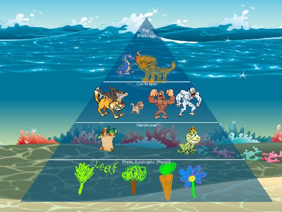 Ecological Pyramid 1