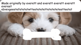 Everett Puppy image