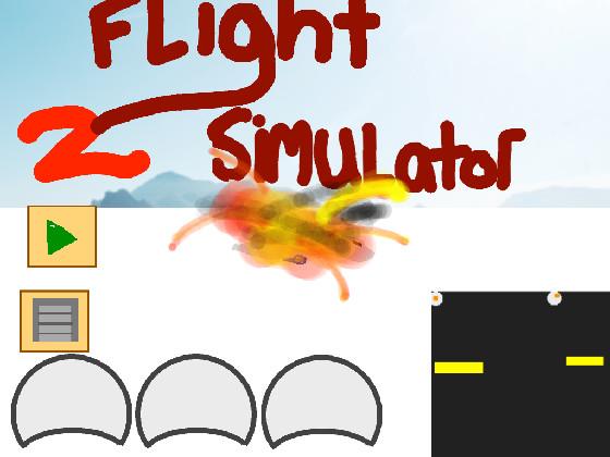 Flight Simulator 2