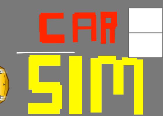 Car Sim RELEASED 1 1