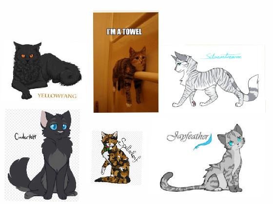 TOP 5 BEST WARRIOR CATS