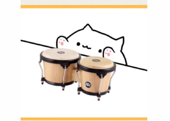 Bongo Cat Meme 1