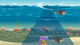 Ocean Ecological Pyramid