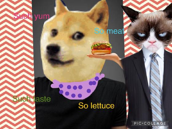 doge meme (feat. grumpy cat)