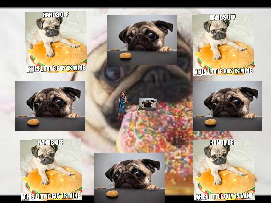 Pug life 1 1