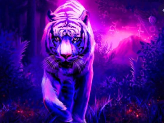 Tigers galaxy