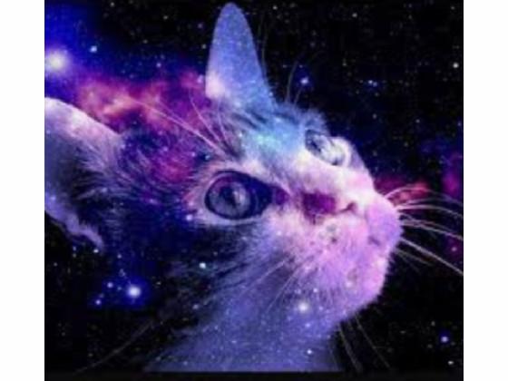 cat galaxy