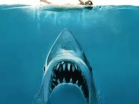 Jaws