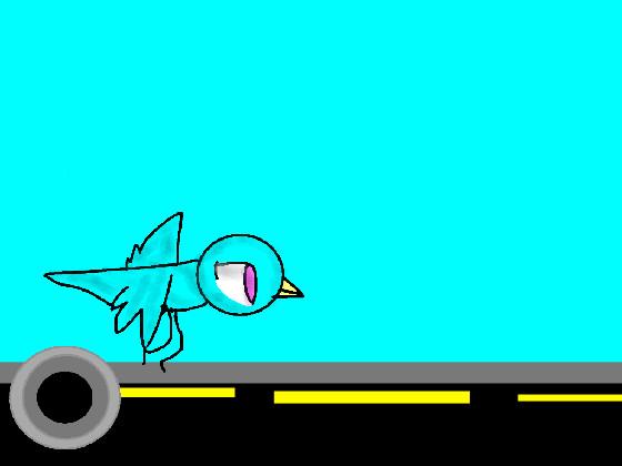 Bird Run Testing 1