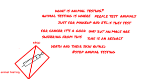 #stop animal testing