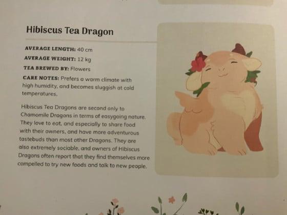 Hibiscus tea dragon info