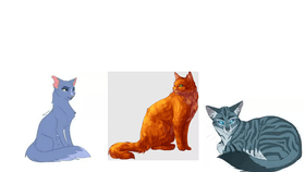 Warrior cats quiz