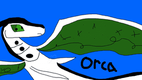 Orca