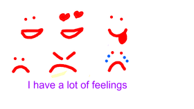 Feelings