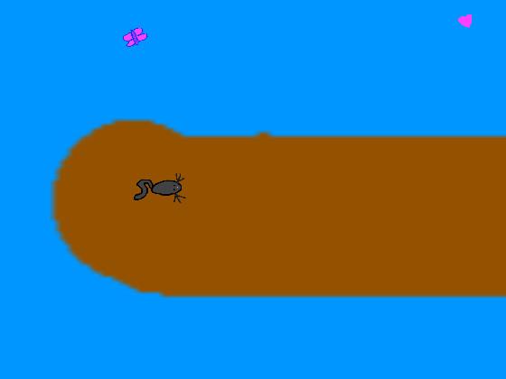 cat run