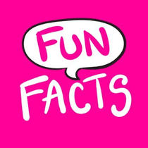 5 Fun facts