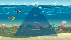 Ocean pyramid