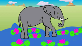 The Amazing Elephant