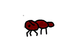 ant